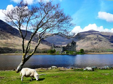 This photo of Kilchurn Castle on Scotland's Loch Awe was taken by "R Q" of Glasgow, Scotland.